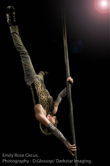 Emily Rose as Stray Cat on Chinese Pole in photo shoot with Darkstar Imaging