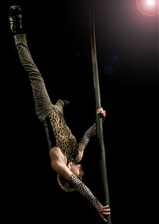 Chinese Pole - A chinese pole is a vertical, steel, sticky pole which a circus artist will climb up, slide down and perform static or dynamic tricks on. 